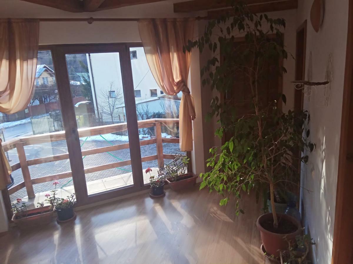 Casa Alexandru Hotel อาซูกา ภายนอก รูปภาพ